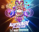 Karnaval Festival - Sonntag Logo